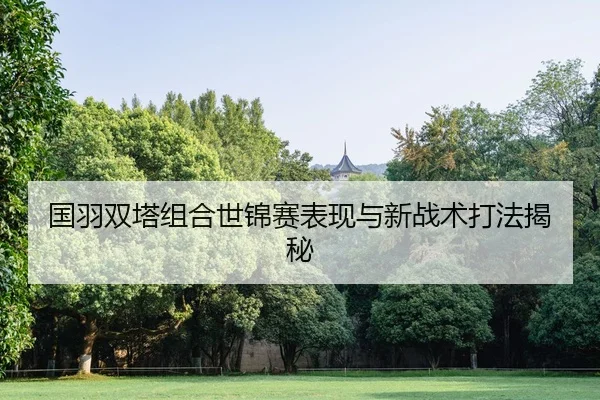 国羽双塔组合世锦赛表现与新战术打法揭秘